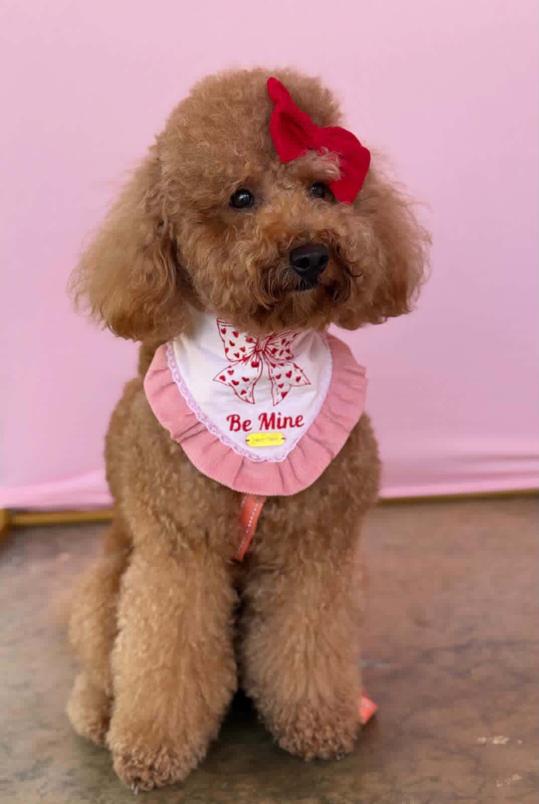 Be Mine Sailor Bow Bandana