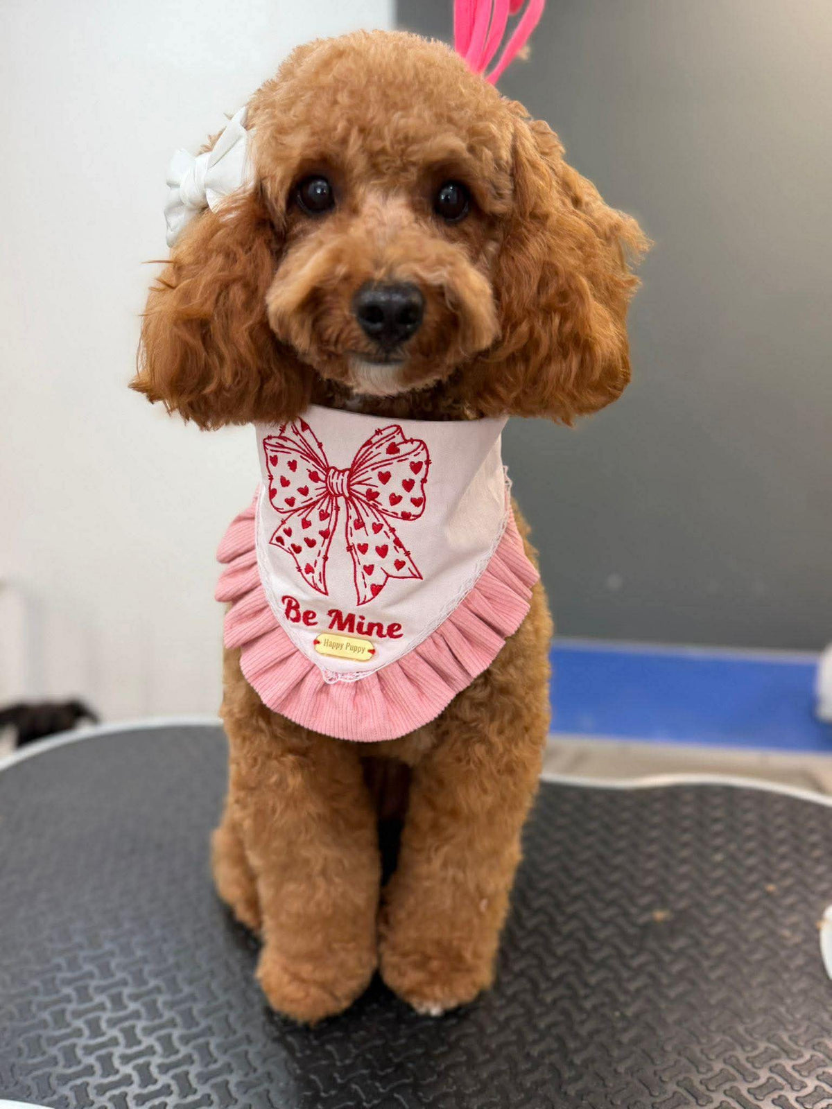 Be Mine Sailor Bow Bandana