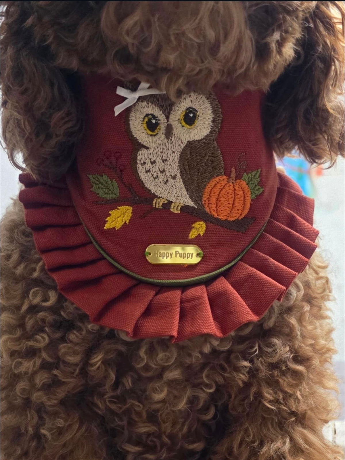 Autumn Owl & Pumpkin Bandana