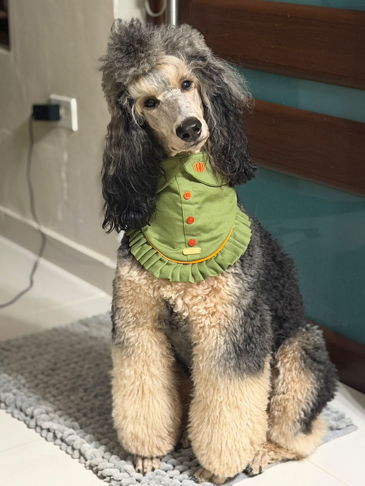 Pumpkin Patch - Olive Green Button-Up Autumn Dog Bandana