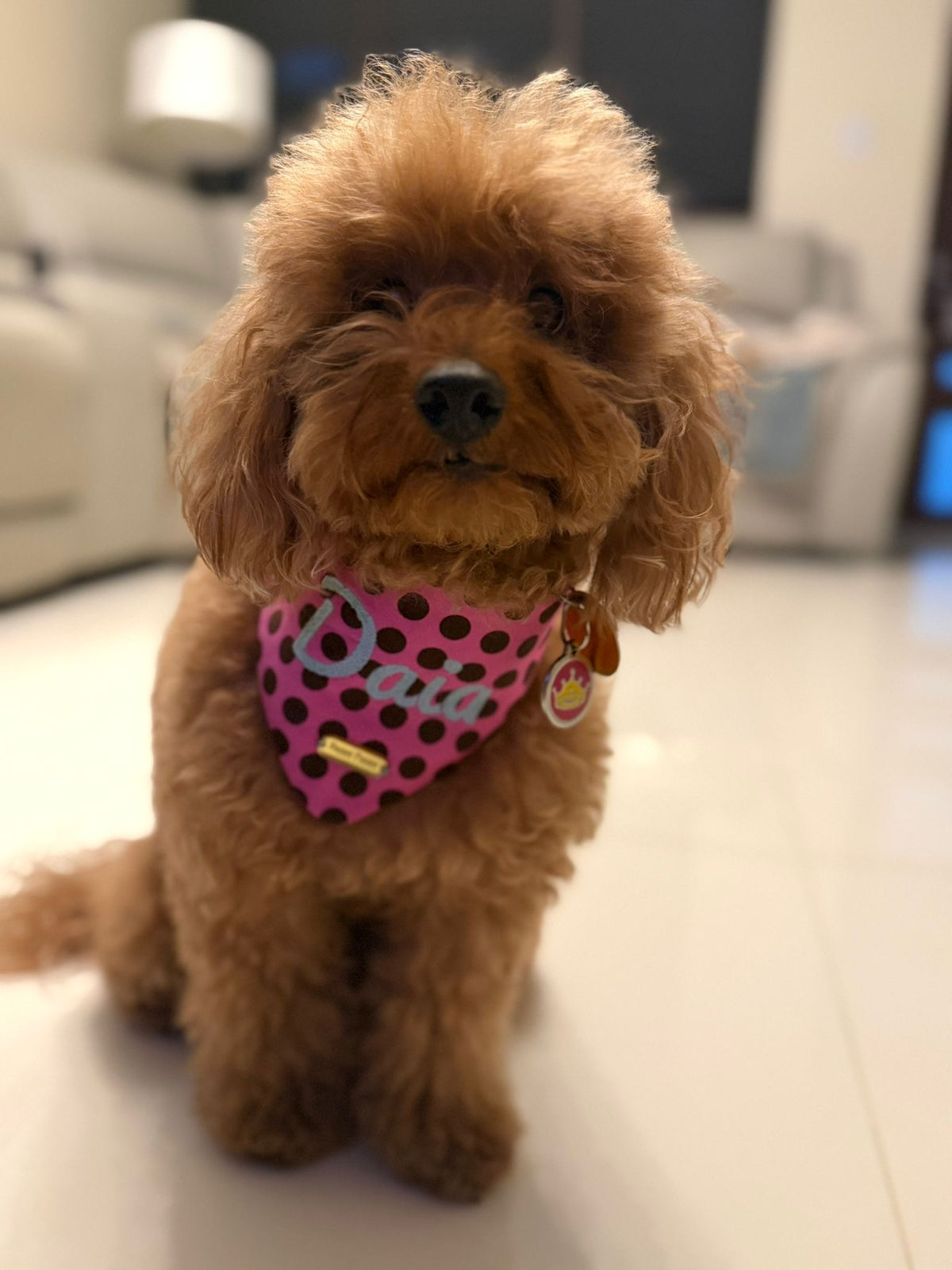 Polka Dots – Bandana de puntos para Perro en Varios Colores