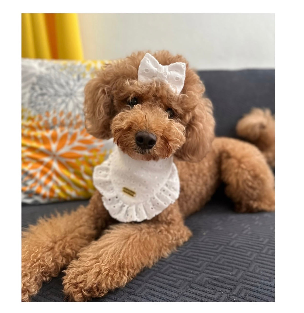 Luna Bandana