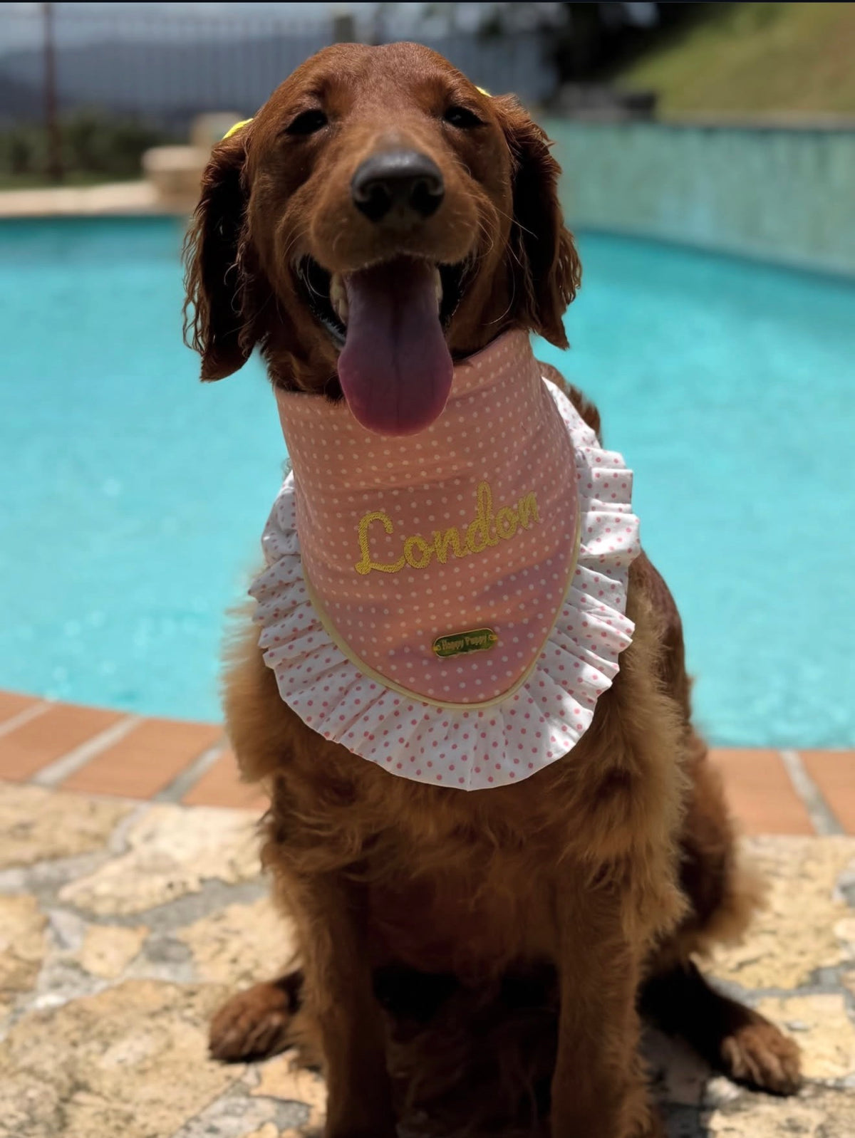 Polka Dots – Bandana de puntos para Perro en Varios Colores