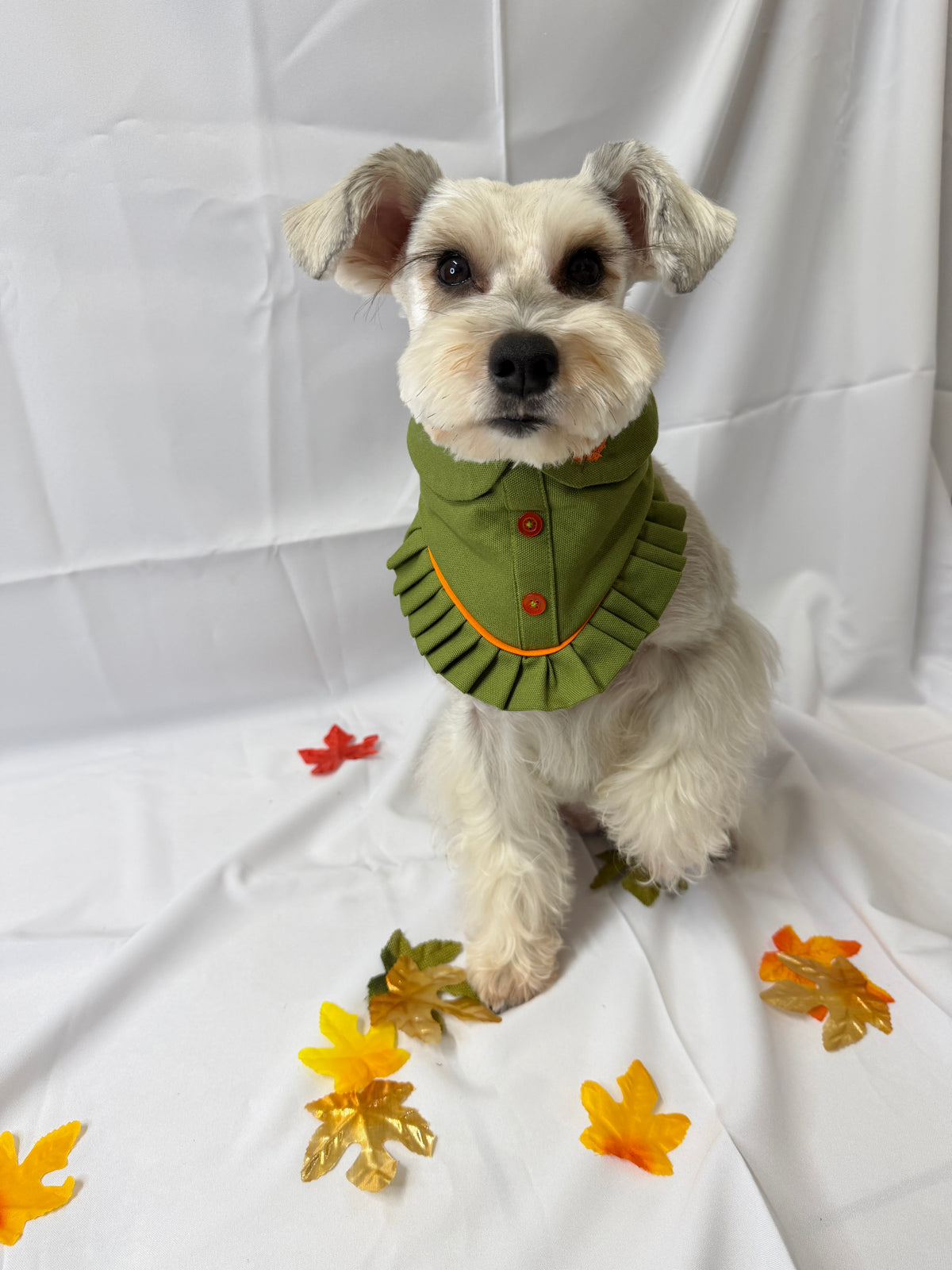 Pumpkin Patch - Olive Green Button-Up Autumn Dog Bandana