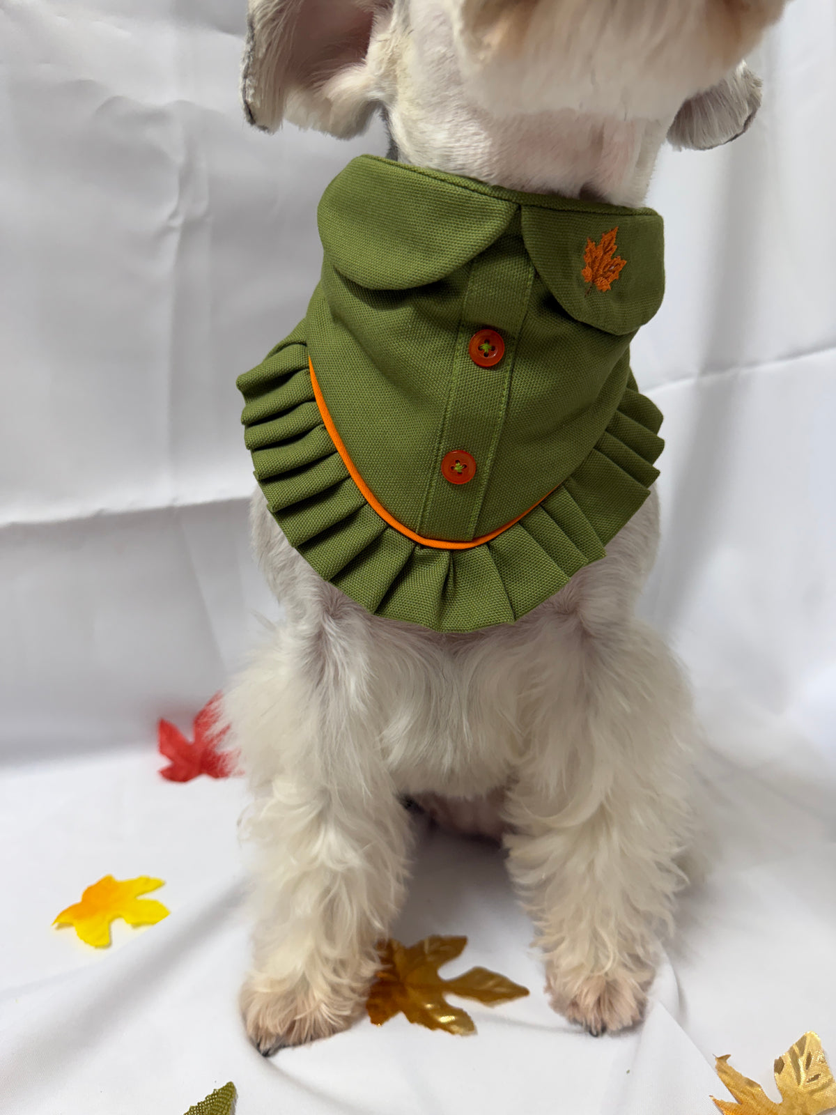 Pumpkin Patch - Olive Green Button-Up Autumn Dog Bandana