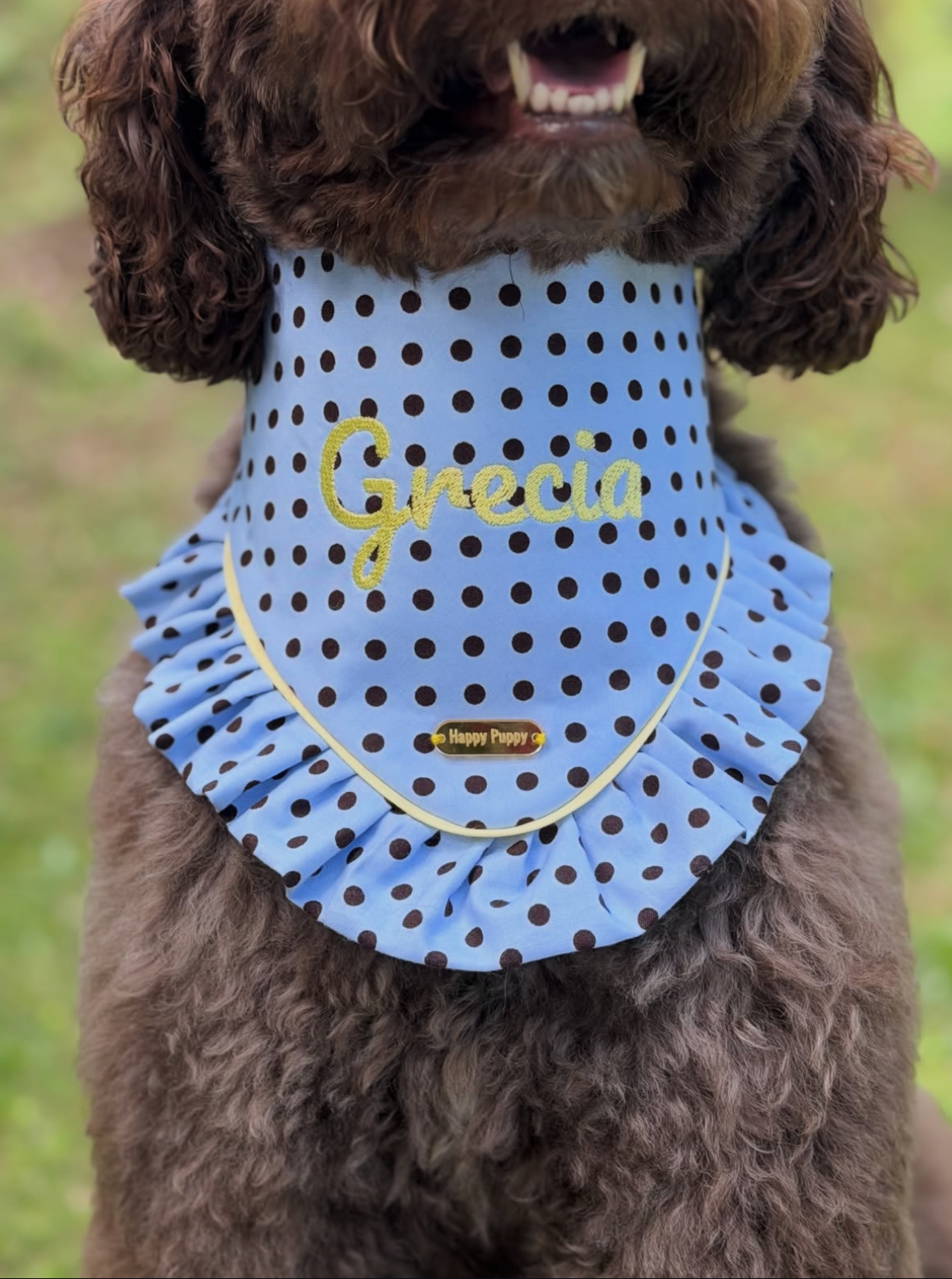 Polka Dots – Bandana de puntos para Perro en Varios Colores