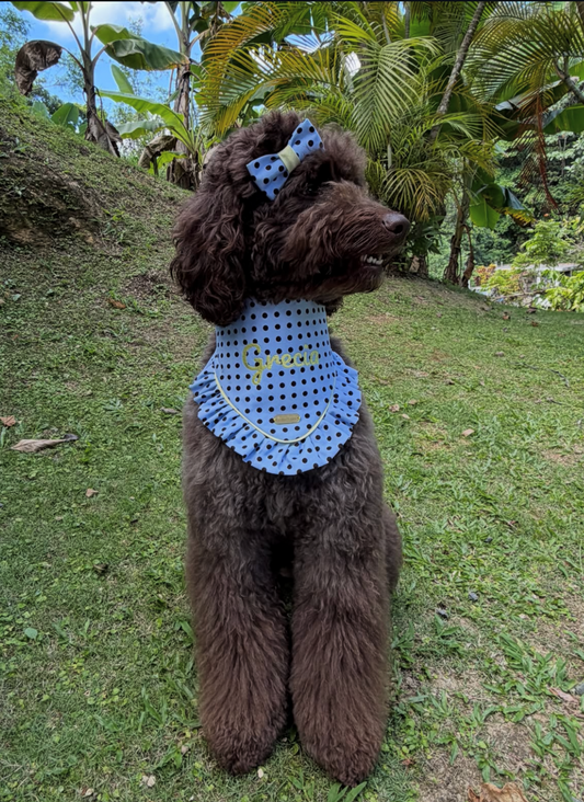 Polka Dots – Bandana de puntos para Perro en Varios Colores