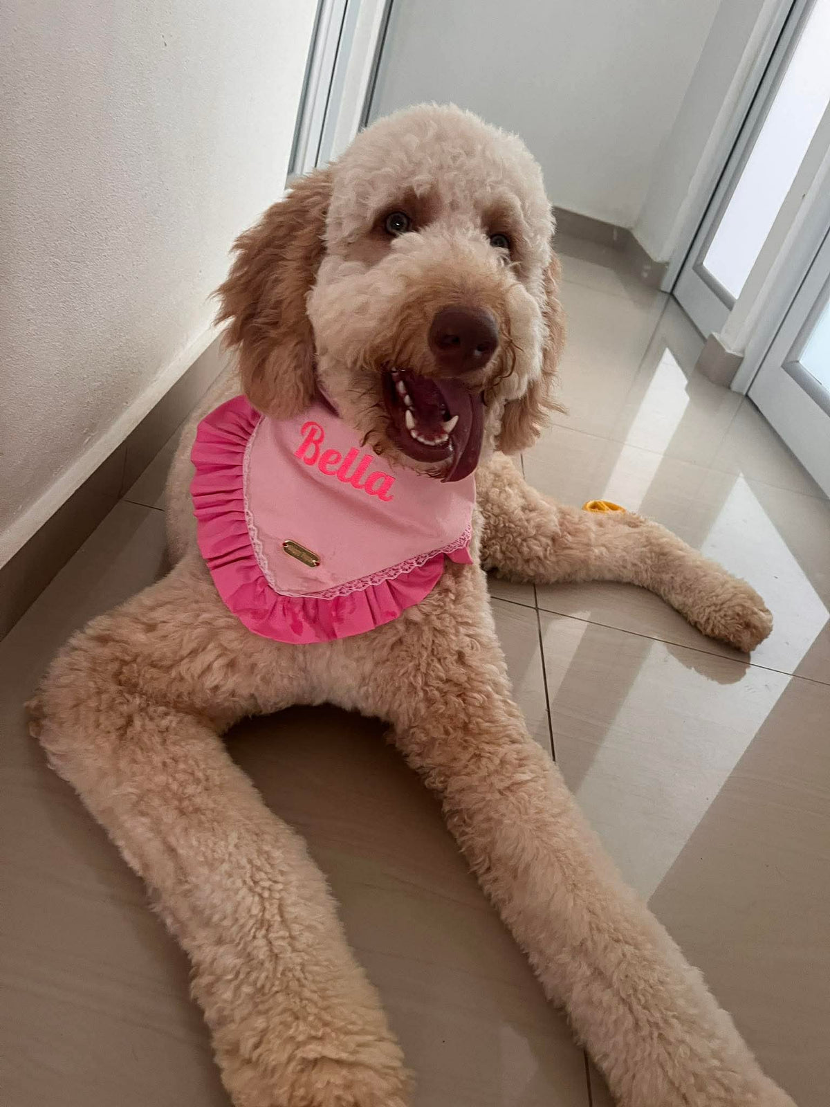 Personalized Bandanas - Your Pet's Name Embroidered