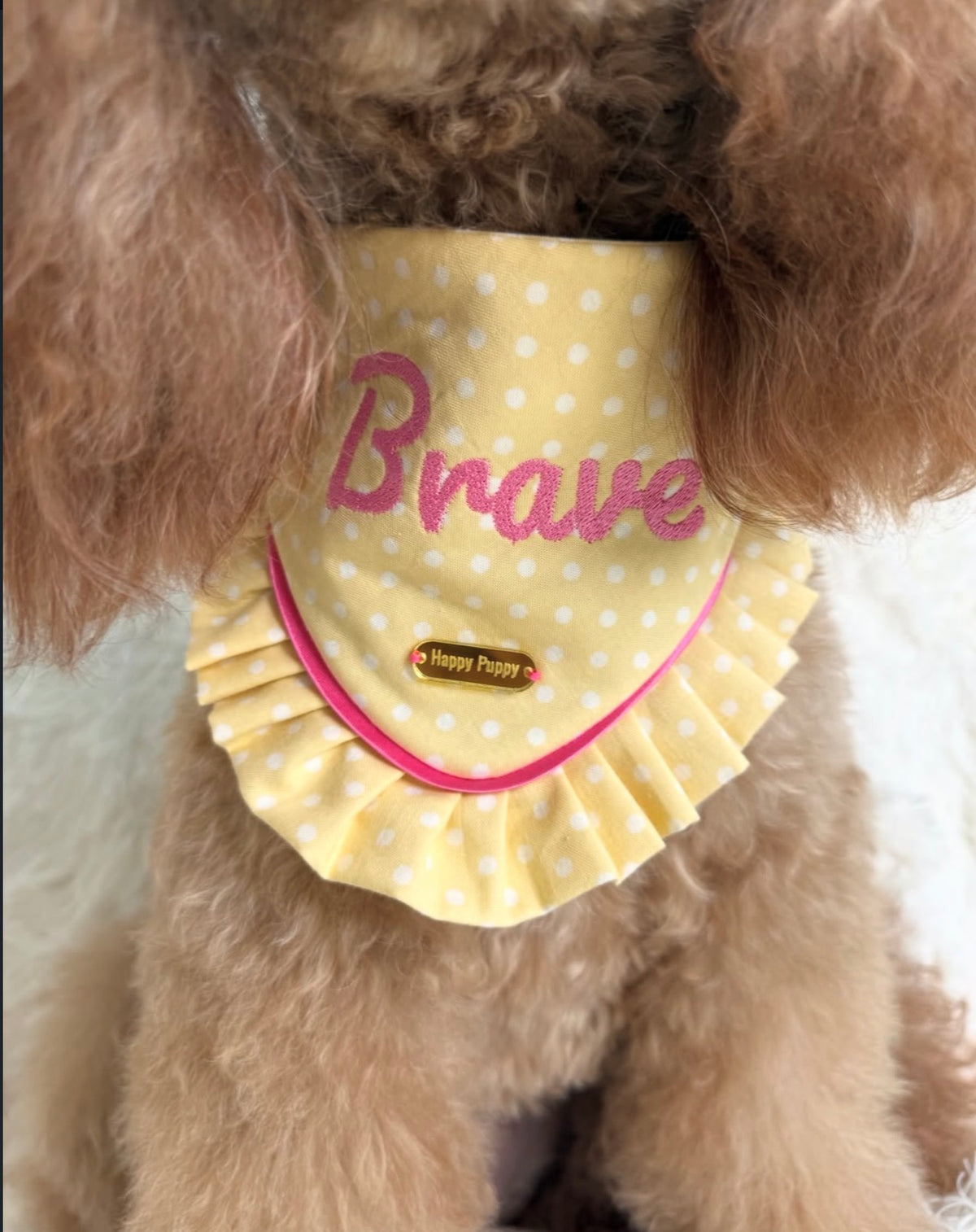 Polka Dots – Bandana de puntos para Perro en Varios Colores
