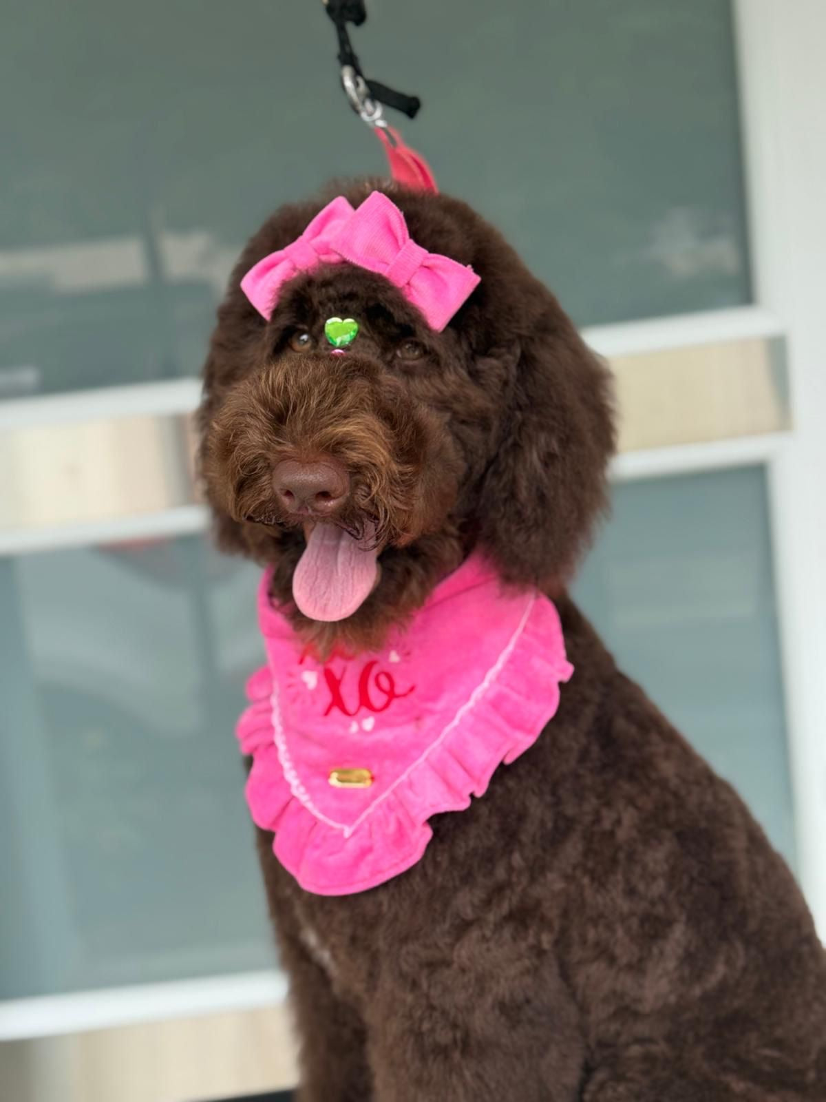 XOXO Bandana