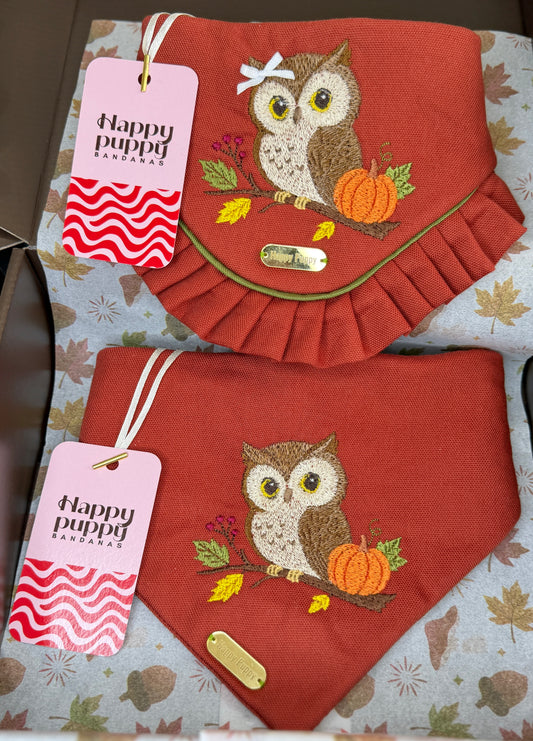 Autumn Owl & Pumpkin Bandana