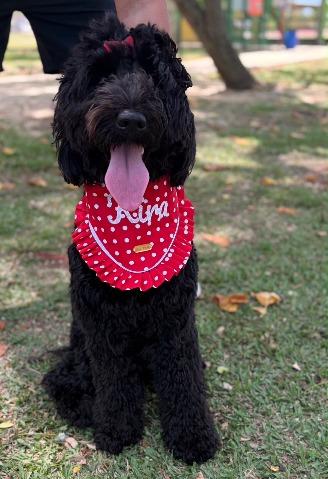 Polka Dots – Bandana de puntos para Perro en Varios Colores