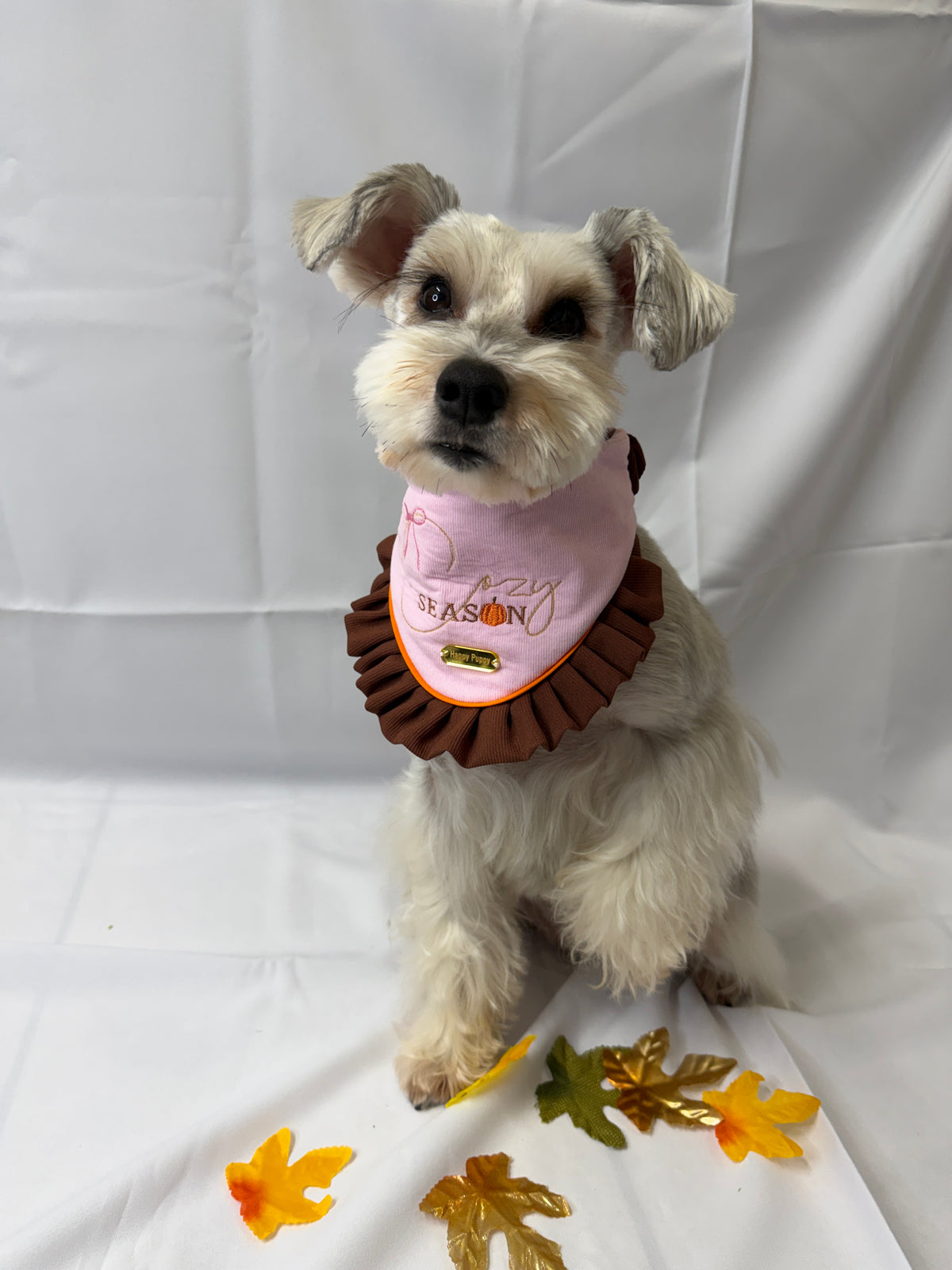 Cozy Season – Bandana de Otoño Rosa con Volante Marrón para Perro