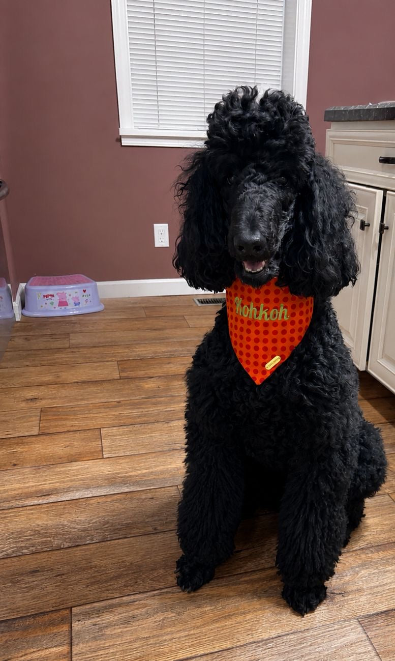 Polka Dots – Bandana de puntos para Perro en Varios Colores