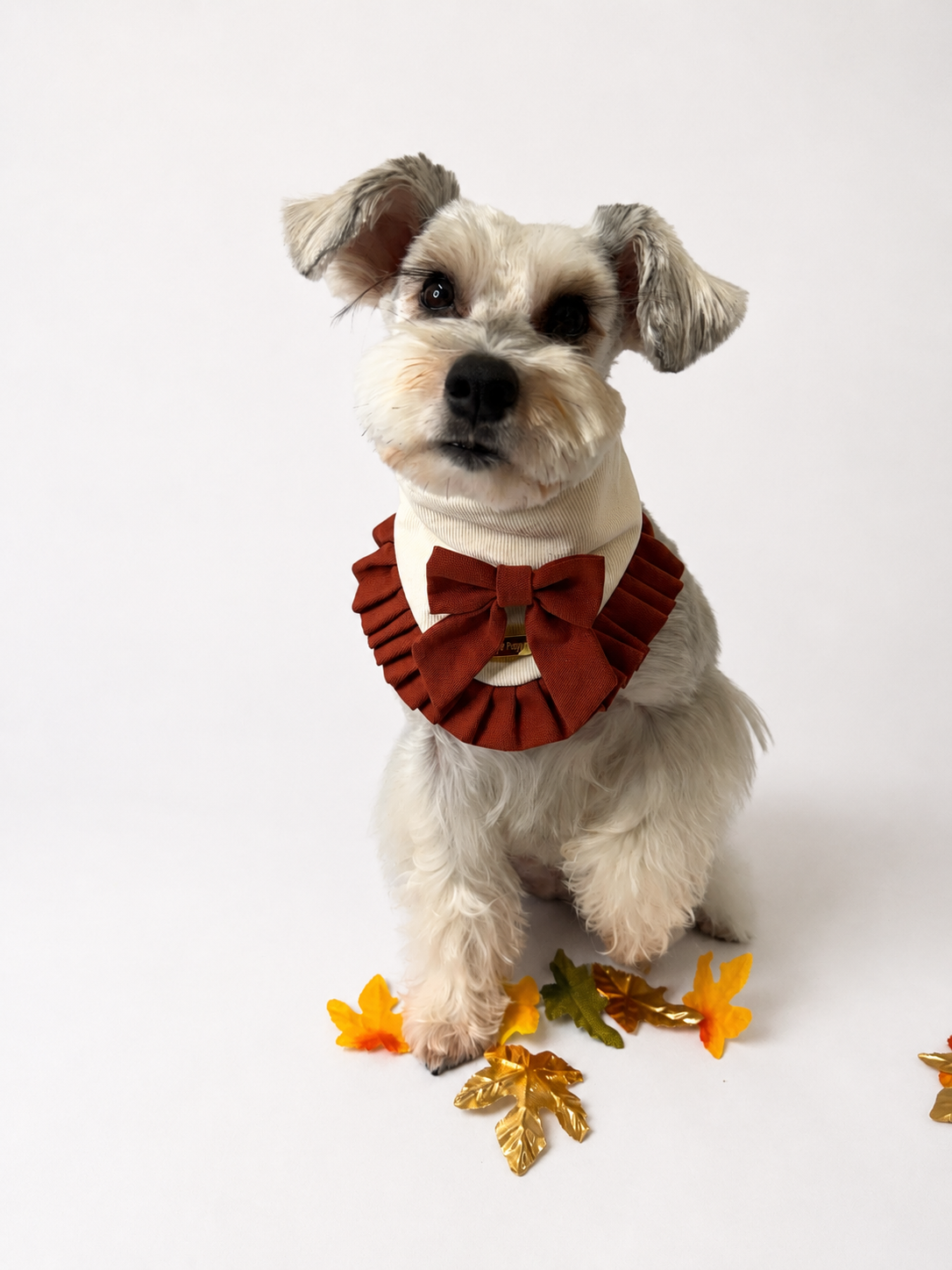Fall-ing for You – Bandana de Otoño Crema con Lazo Vino para Perro