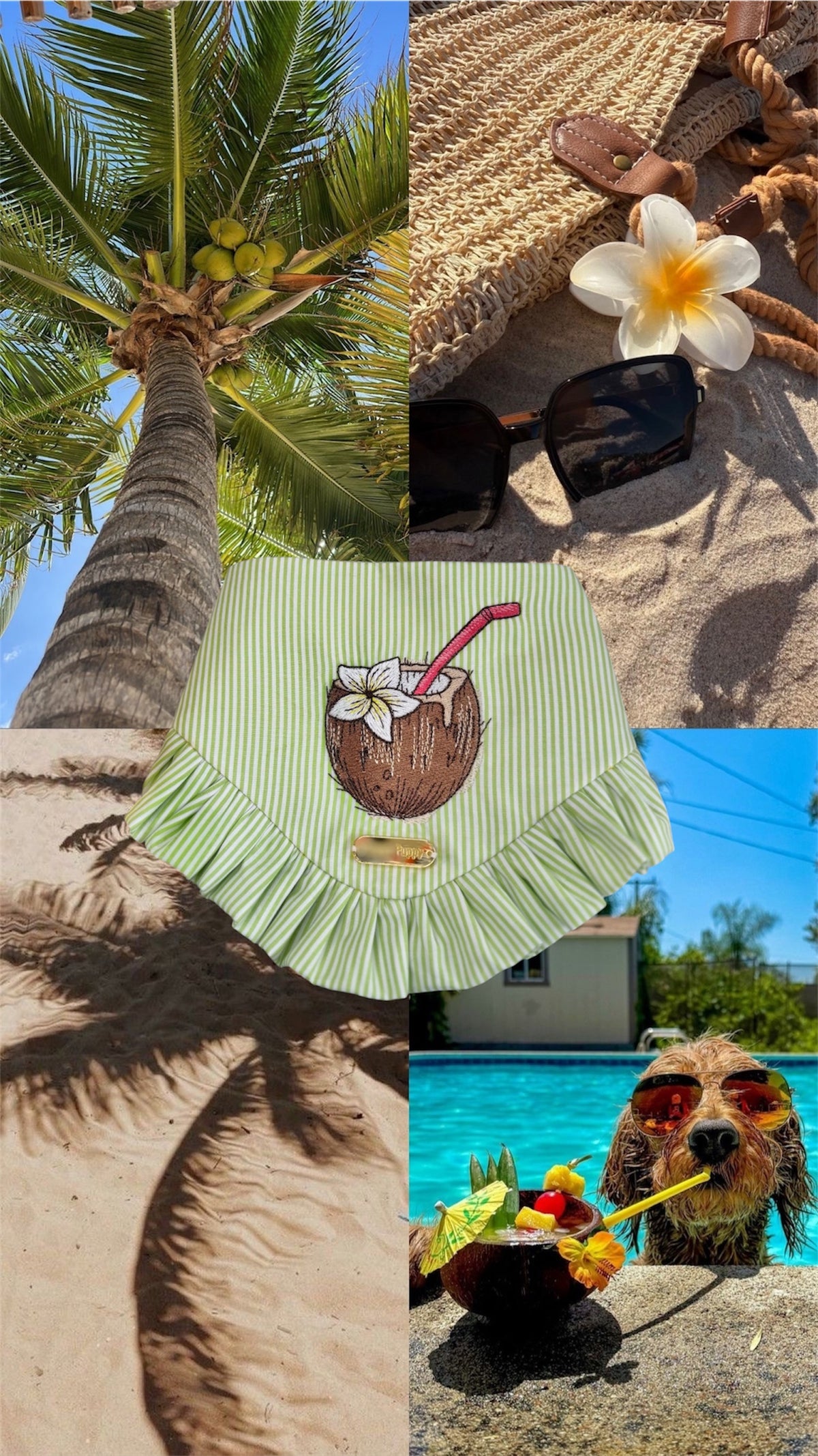 Coconut – Bandana de Verano Verde con Coco Tropical para Perro