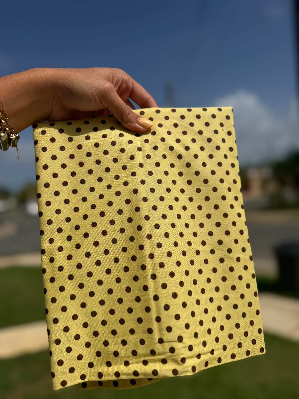 Polka Dots – Bandana de puntos para Perro en Varios Colores