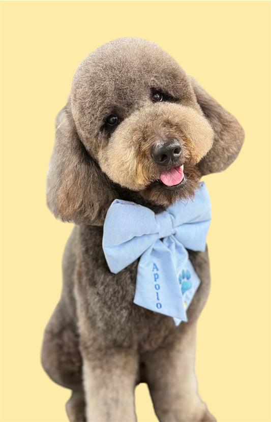 Sailor Bows Personalizados con Nombre – Lazo para Collar de Perro