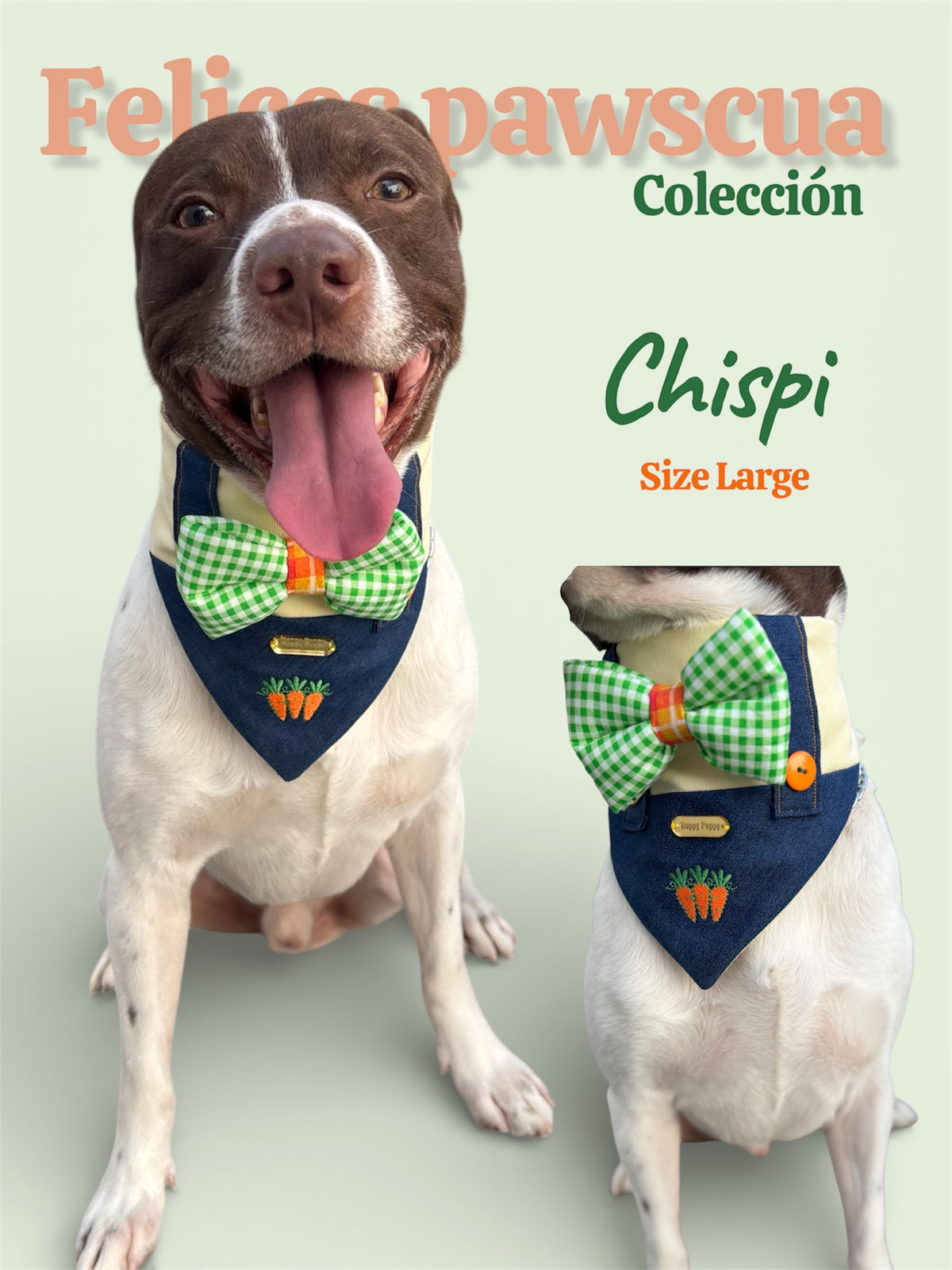 Imagen de referencia de talla Large de la bandana Bunny Jumper Boy de Happy Puppy Bandanas, con perro usando la bandana de mezclilla con lazo de cuadros verde