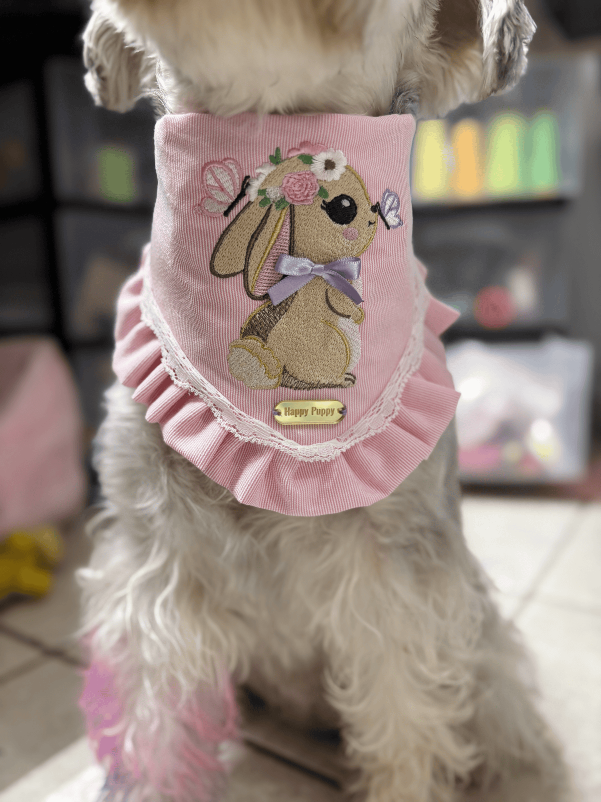 Perro schnauzer usando la bandana Butterfly de Happy Puppy Bandanas en rosa, con conejita bordada con corona de flores y mariposas, encaje y volante rosa