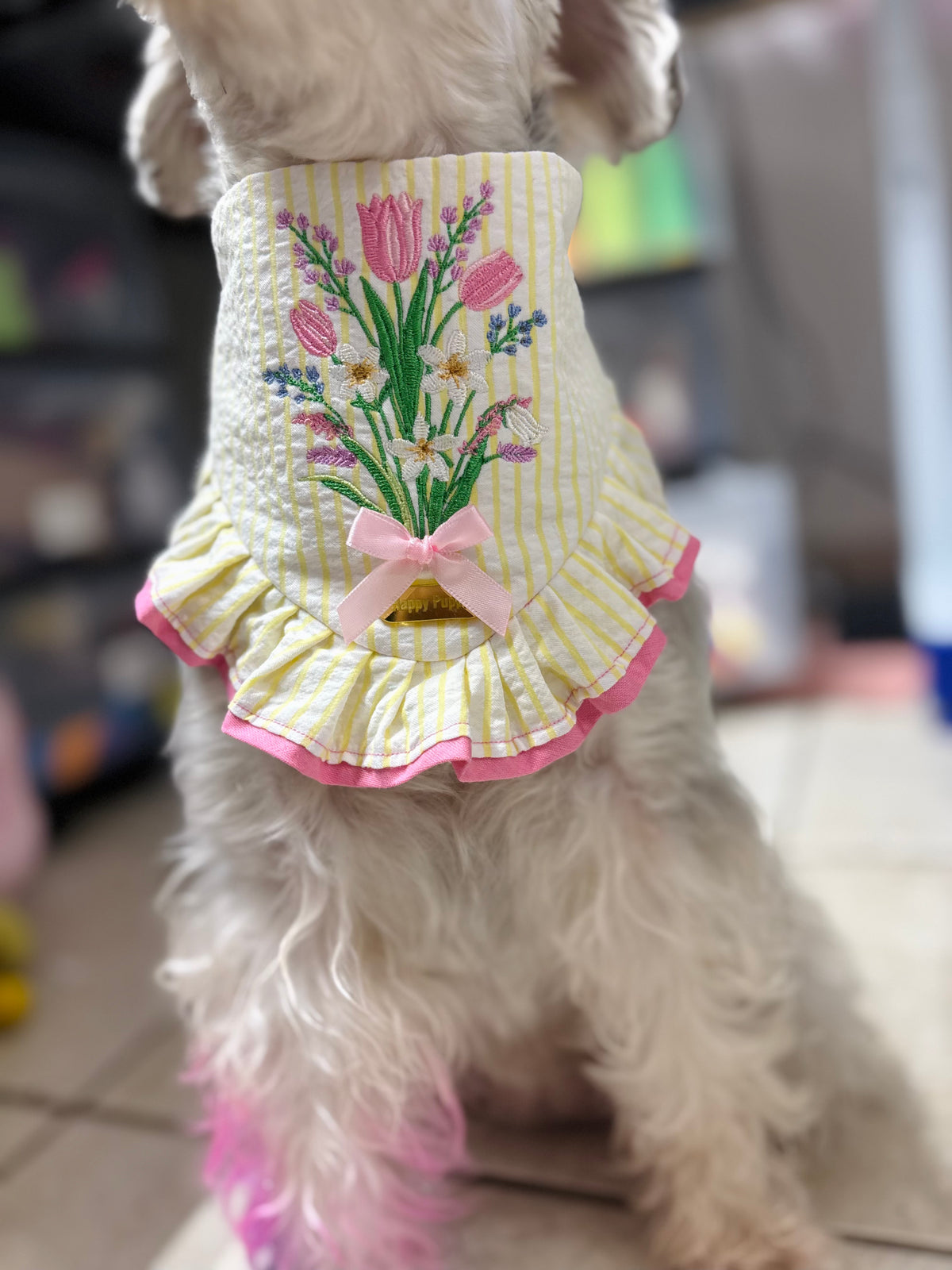 Perro usando la bandana Flowers de Happy Puppy Bandanas en crema con ramo de flores bordado y volante rosa, vista en uso