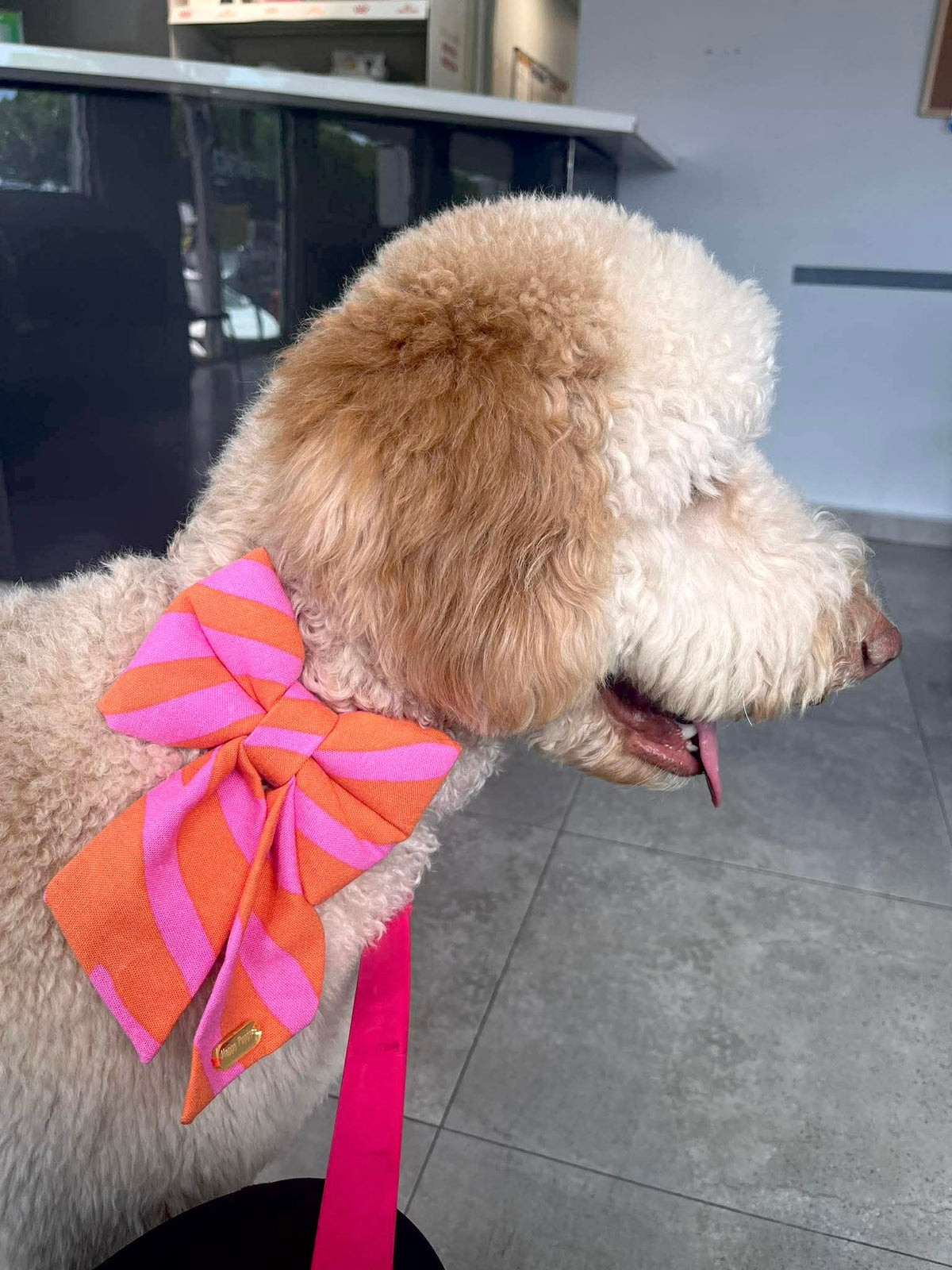 Perro usando un sailor bow Pink Sailor Bows de Happy Puppy Bandanas en rayas rosa y naranja, vista lateral en uso