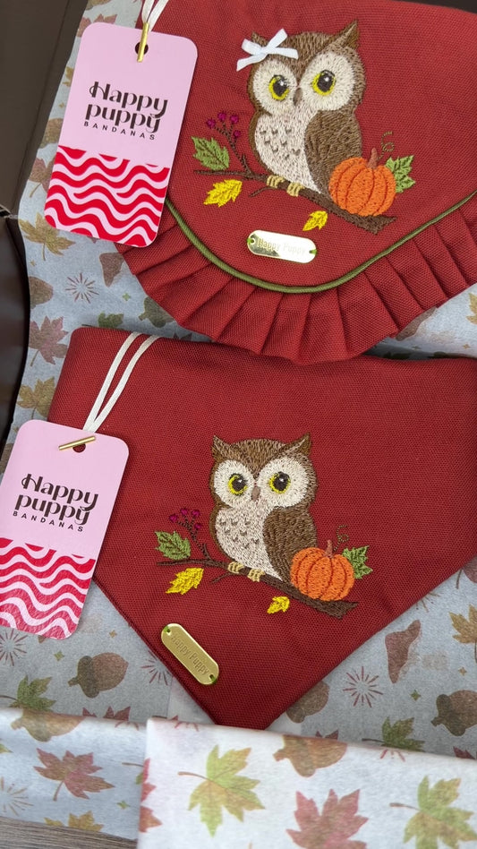 Autumn Owl & Pumpkin Bandana